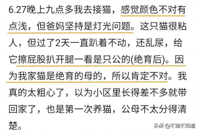 网友家的蓝猫走丢找回来发现母猫咋还长蛋蛋了